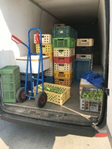 Ladungssicherung von Gemüse Ladungssicherung Gemüse